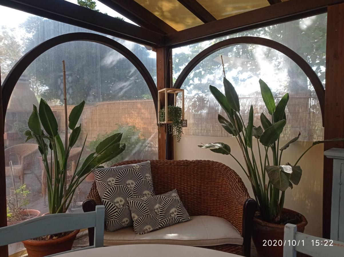 סן וינצ'נזו Olioealloro B&B מראה חיצוני תמונה