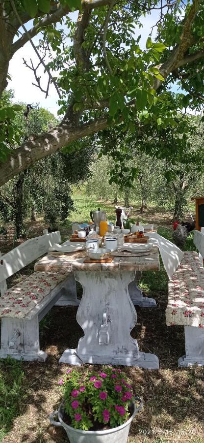 סן וינצ'נזו Olioealloro B&B מראה חיצוני תמונה